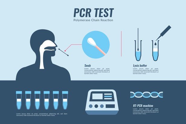 Apa itu PCR - Polymerase Chain Reaction