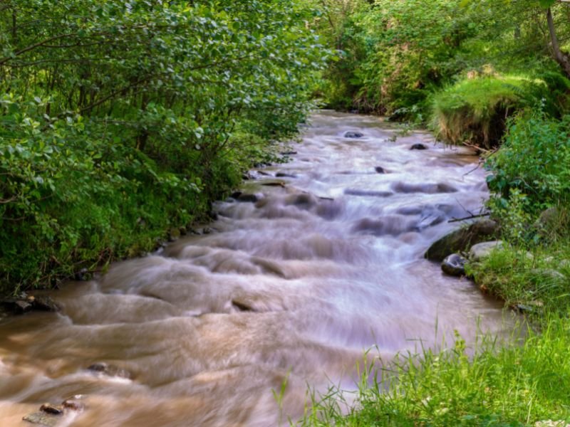 Menentukan Kualitas Air dengan Turbidity Meter