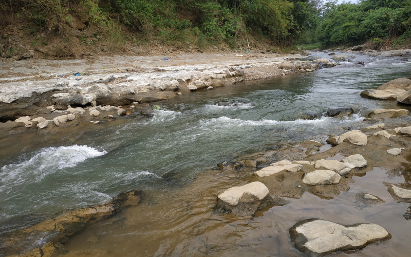 Mengukur Kualitas Air Sungai: Bagaimana Cara Melakukannya?