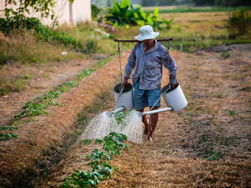 Mengukur pH dalam Tanah Lahan Pertanian untuk Memperbaiki Kualitas Tanah dan Hasil Panen