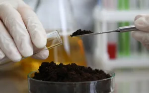 Mengukur Kadar Logam Berat dalam Sampel Makanan