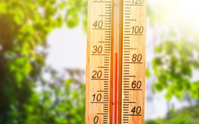 Suhu dan Waktu Tanam: Pentingnya Menyesuaikan Jadwal Tanam dengan Kondisi Suhu